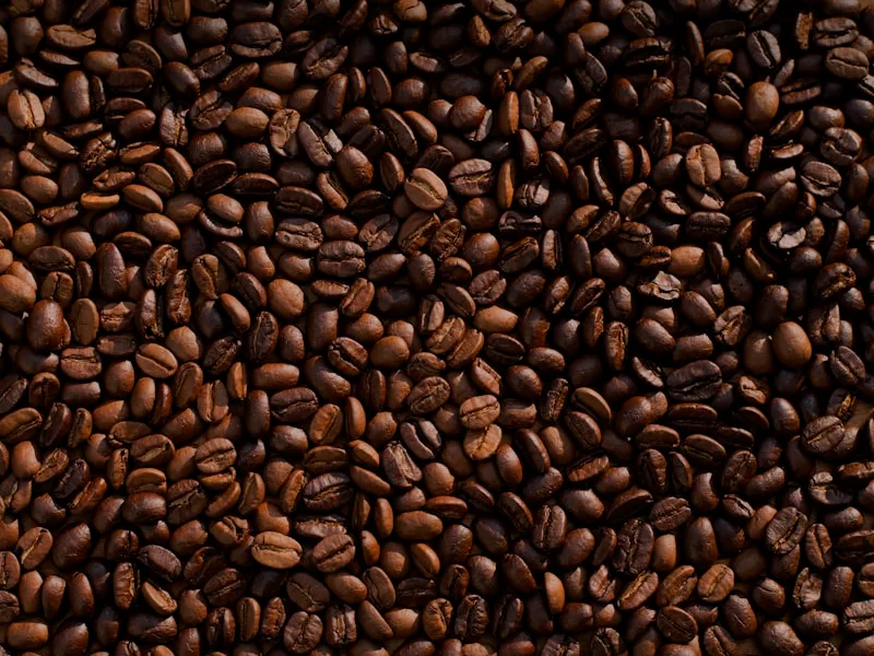 Aroma Lereng Pegunungan: Eksplorasi Cita Rasa Kopi Arabika Garut